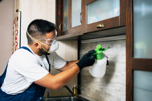 Best Mosquito Control Services  in South Burlington, VT