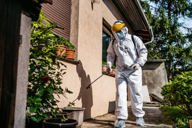 Professional Pest Control in South Burlington, VT