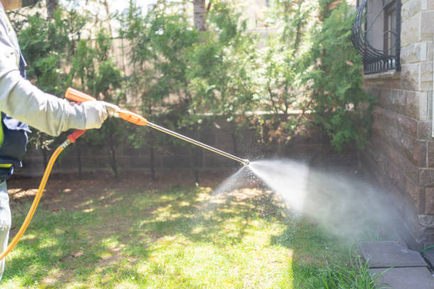 Best Emergency Pest Control  in South Burlington, VT