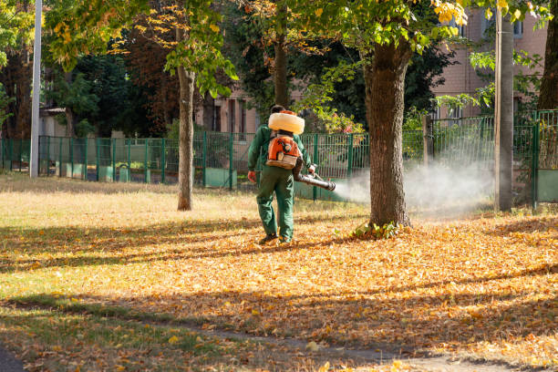 Best Best Pest Control Companies  in South Burlington, VT