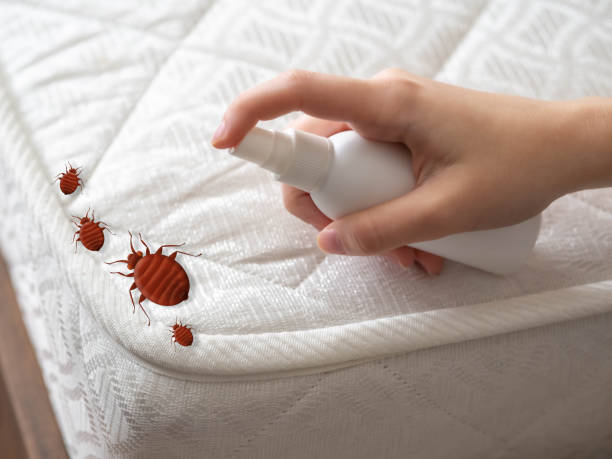 Best Pest Prevention Services  in South Burlington, VT