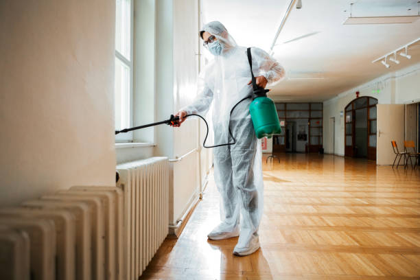 Pest Control for Restaurants in South Burlington, VT