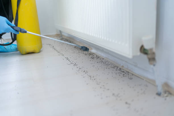 Best Residential Pest Control  in South Burlington, VT