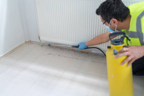 Best Cockroach Control Services  in South Burlington, VT
